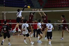 我的手枪组加油吧